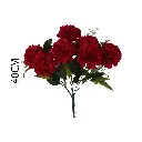 630969ROJO.webp