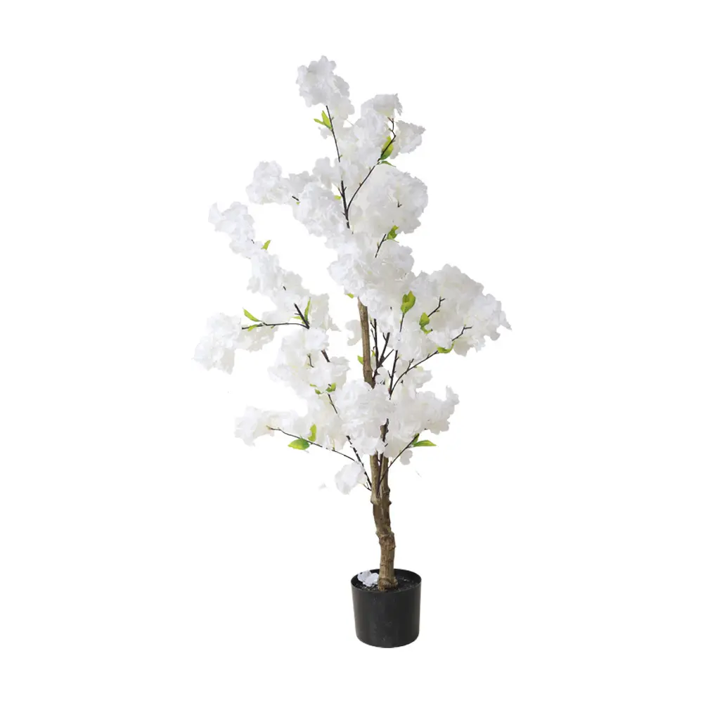 631448BLANCO-1.webp