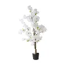631448BLANCO-1.webp