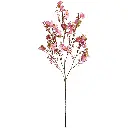 631016粉.webp