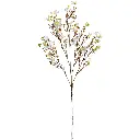 631016白.webp