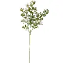 631017粉.webp