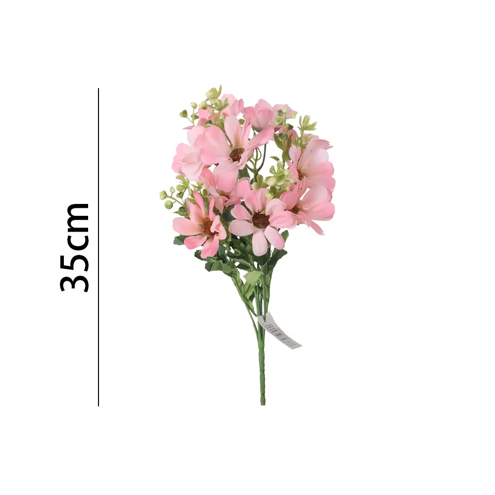 631035ROSA.webp