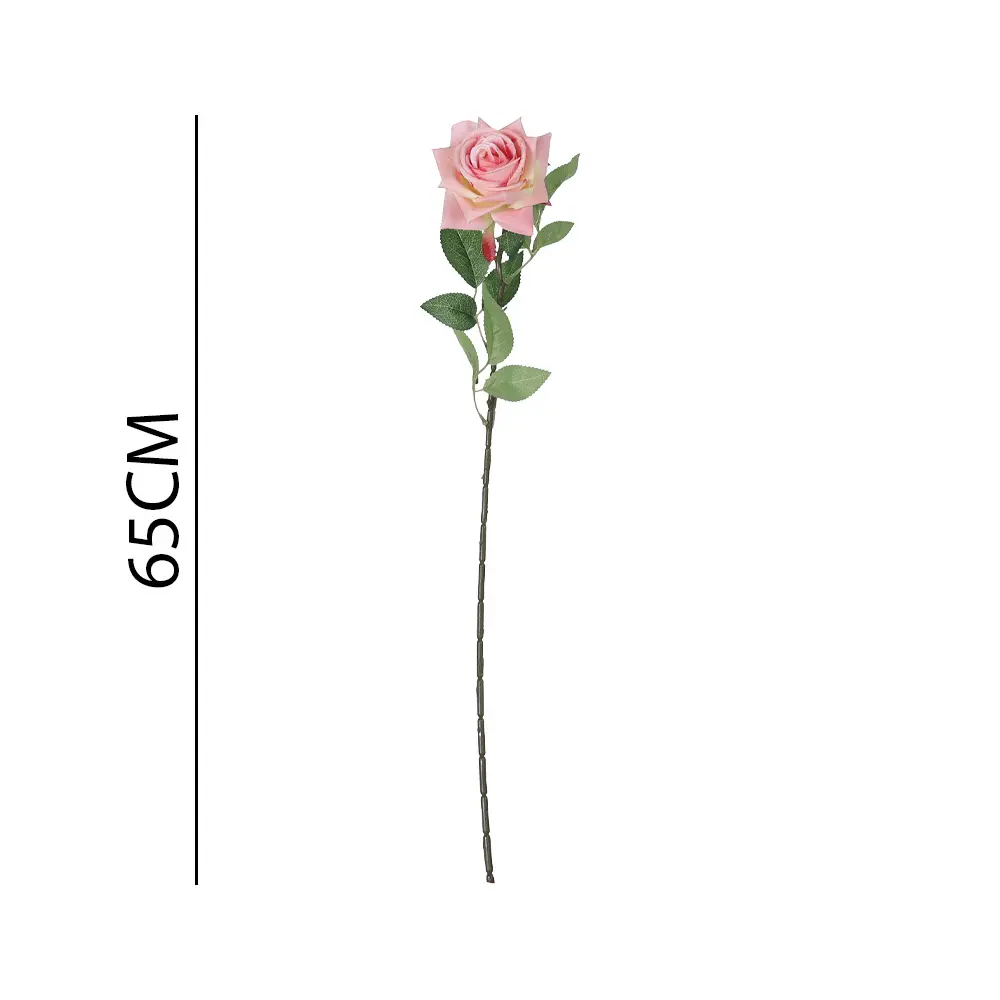 631131ROSA.webp