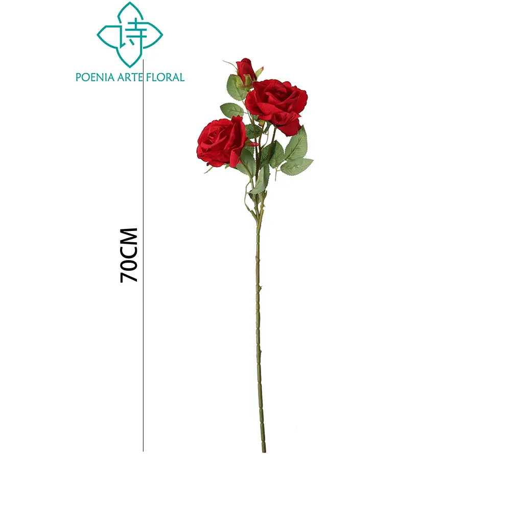 631133ROJO.webp