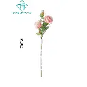631133ROSA.webp