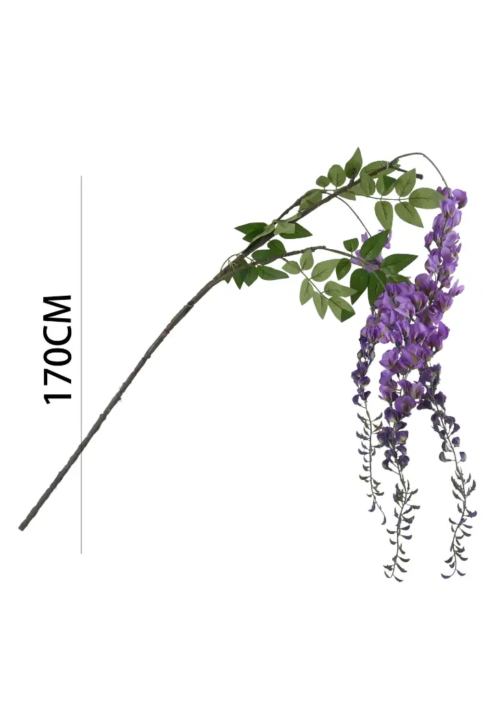 631146MORADO.webp