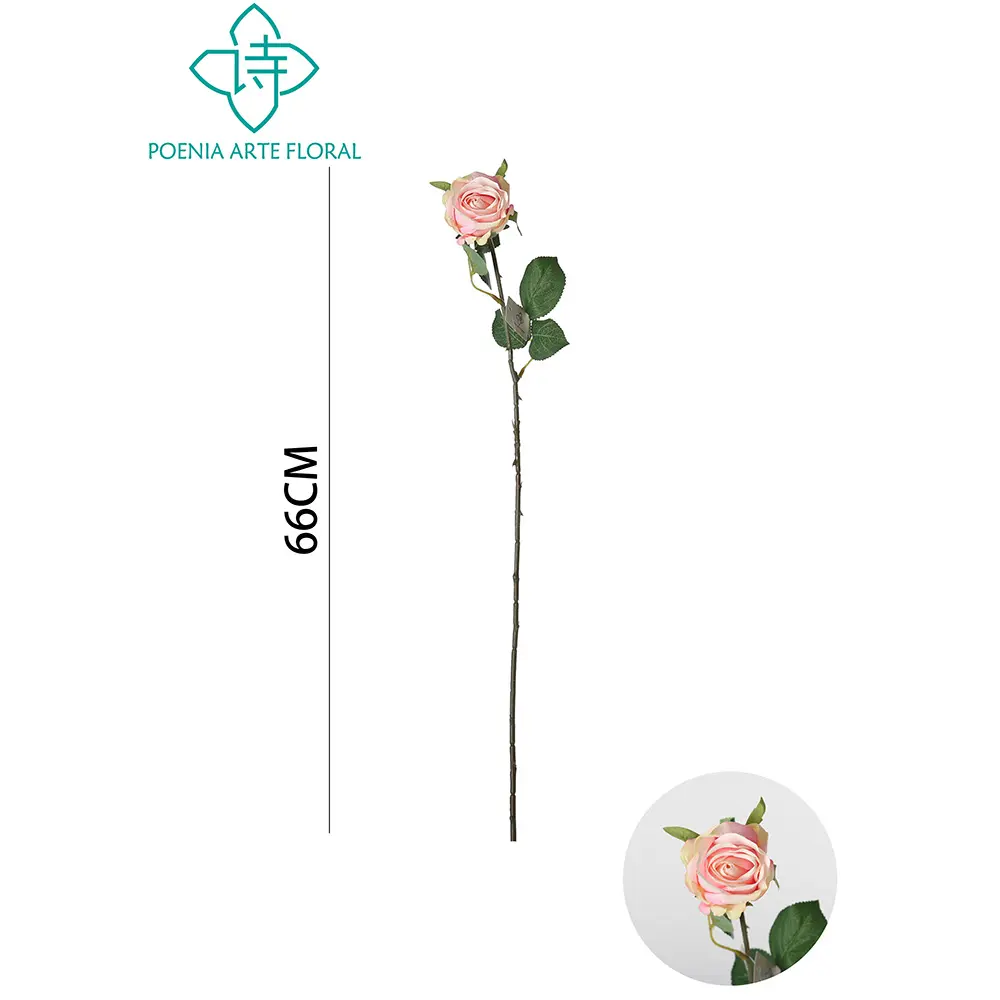 631147ROSA.webp