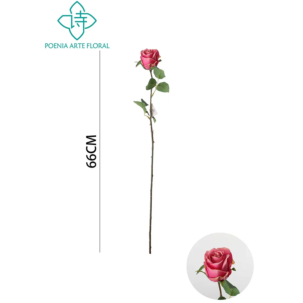 631147MEIHONG.webp