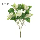 631156-1.webp