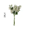 631167BLANCO.webp