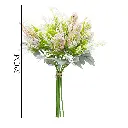 630634-2粉.webp