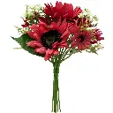 630762红色.webp