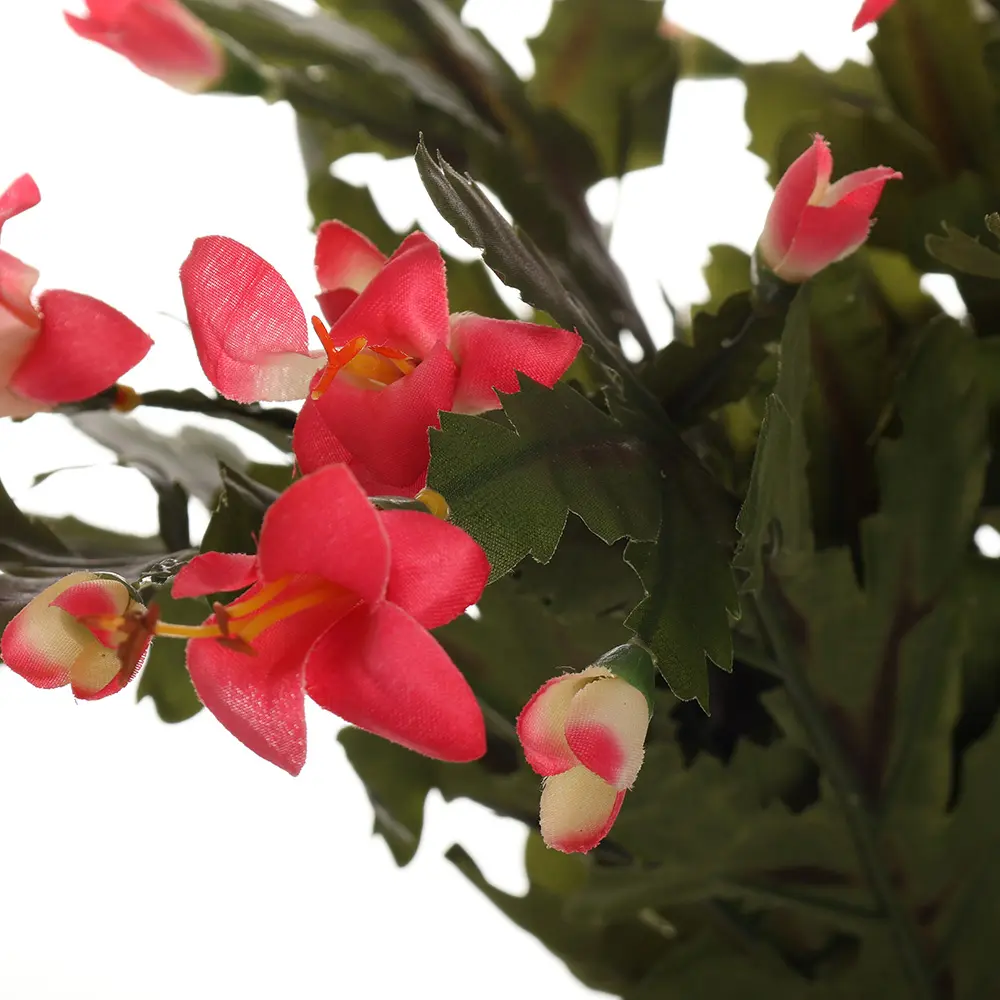 631186细节.webp