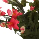 631186细节.webp