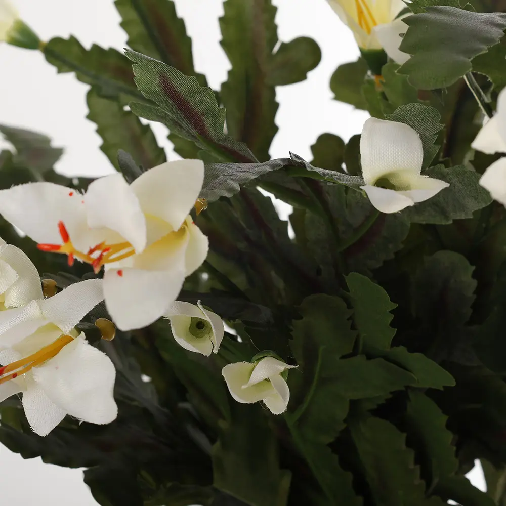 631187细节.webp