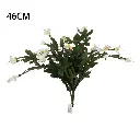 631187.webp