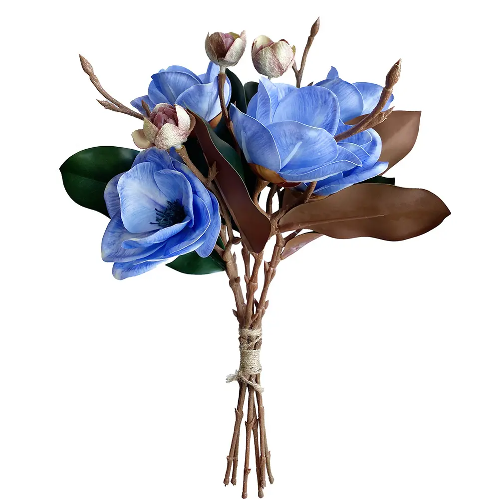 630877白.webp