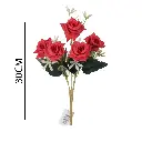 631261ROJO.webp