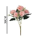 631261ROSA.webp