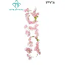 631264ROSA.webp