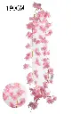 631265-深粉.webp