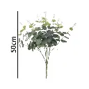 631320VERDE.webp