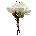 630876-2白.webp