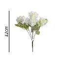 631388-1.webp