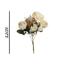 631391-1.webp