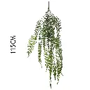 631220.webp