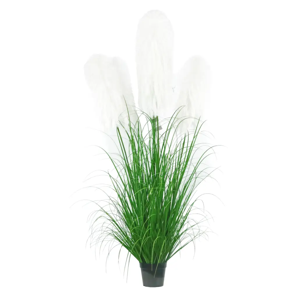 Pampa*7 en maceta 180cm 7头布芦苇