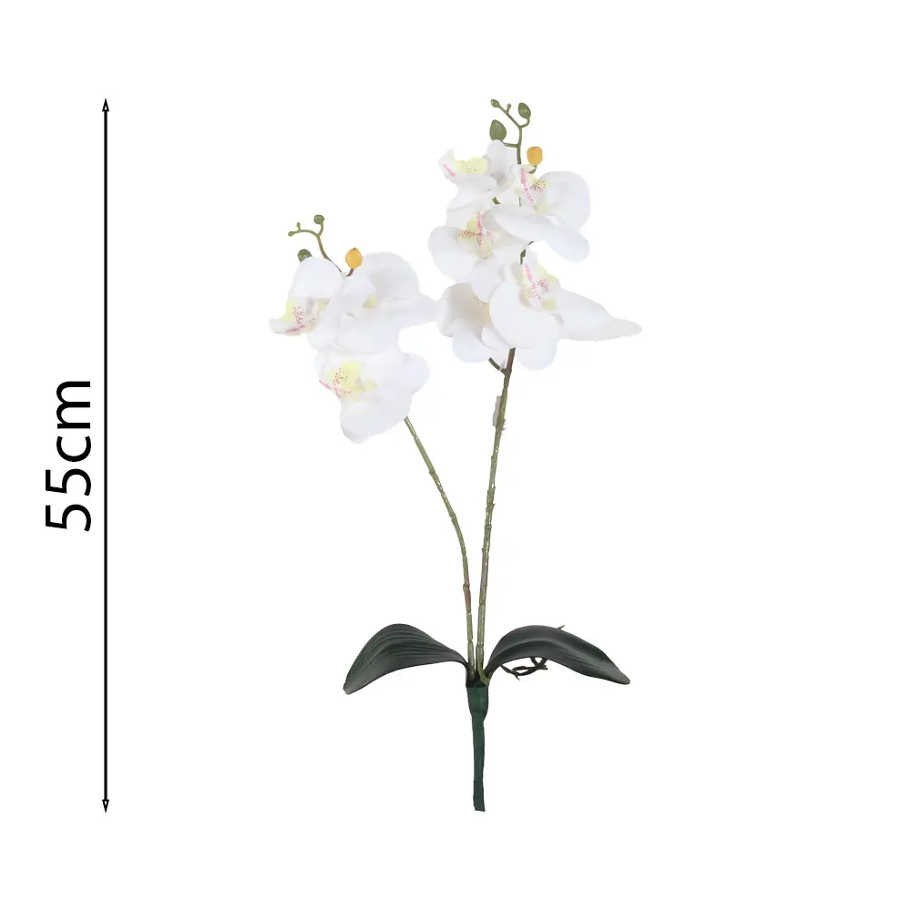 Vara orquideax2 con hoja 带叶2叉蝴蝶兰55Cm