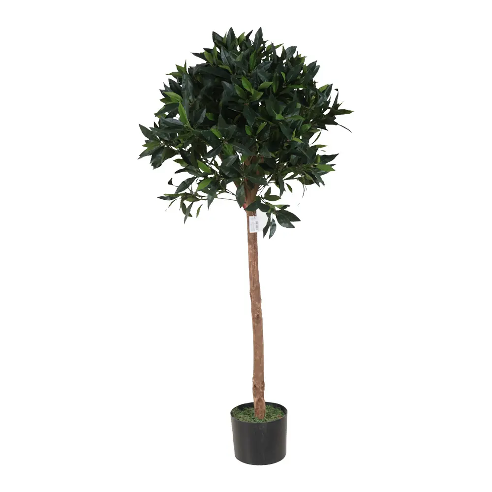 Laurel Tree Con Maceta 120cm 