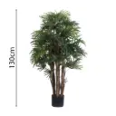 Raphis Palm Con Maceta 120cm