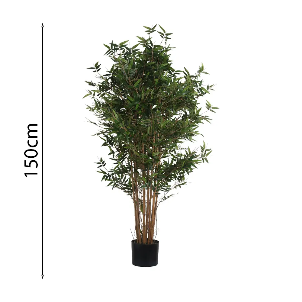 150cm Oriental bamboo with pot