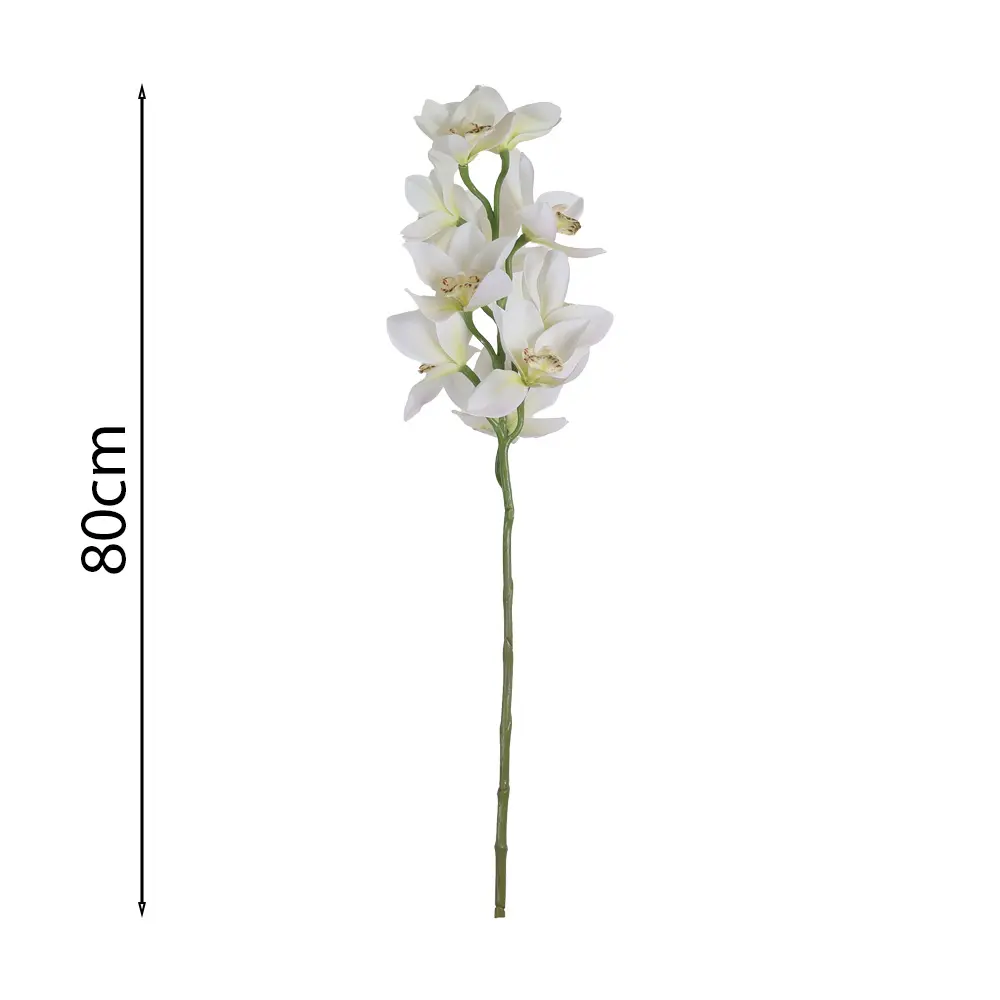 Vara de Orquídea Cymbidium Aromática 80cm