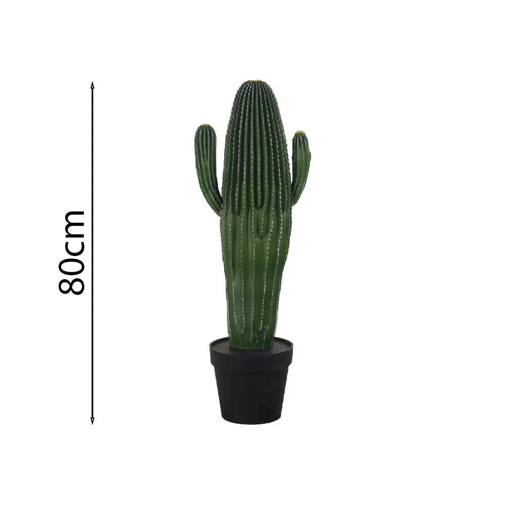 Cactus candelabro80cm 