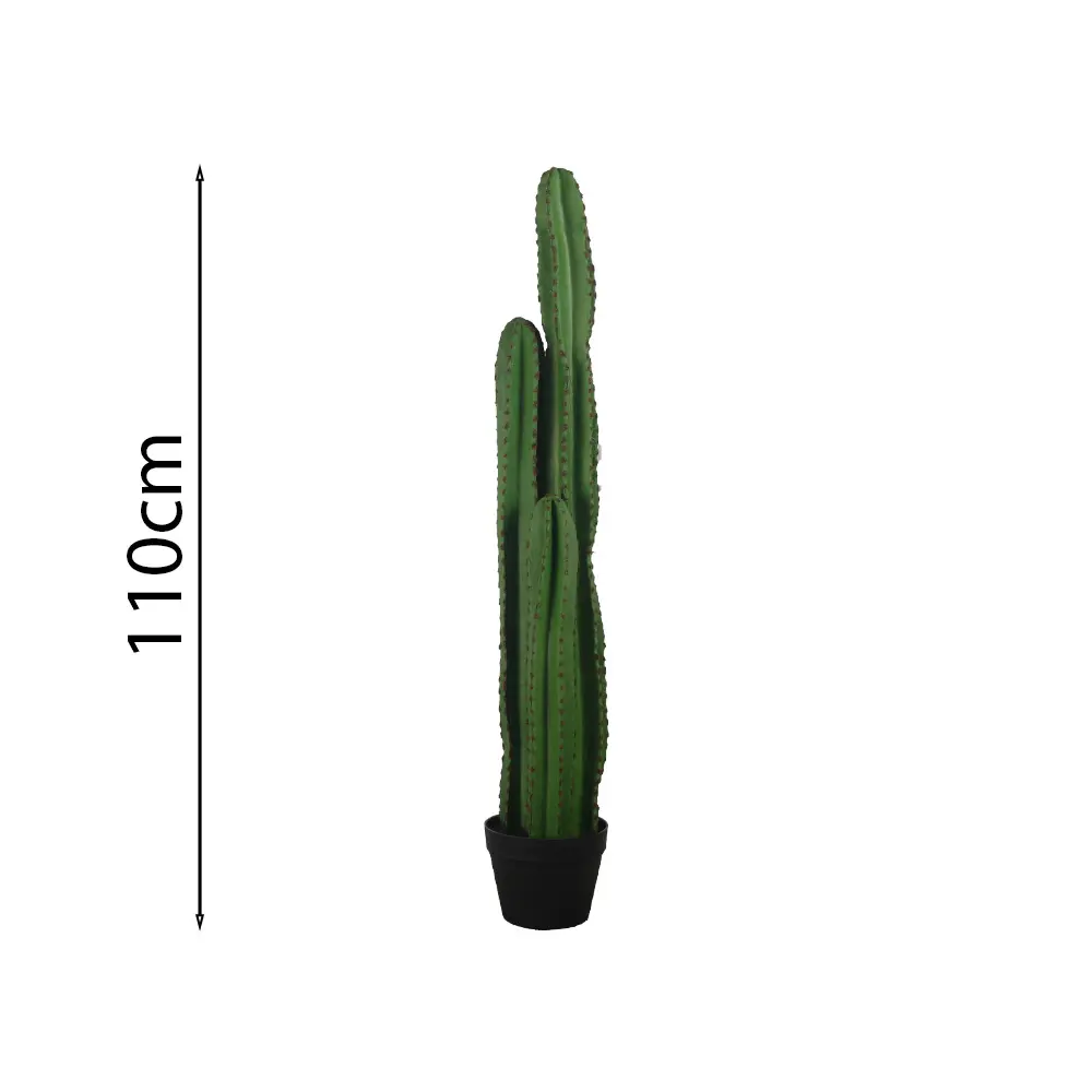 Cactus columnar 110cm