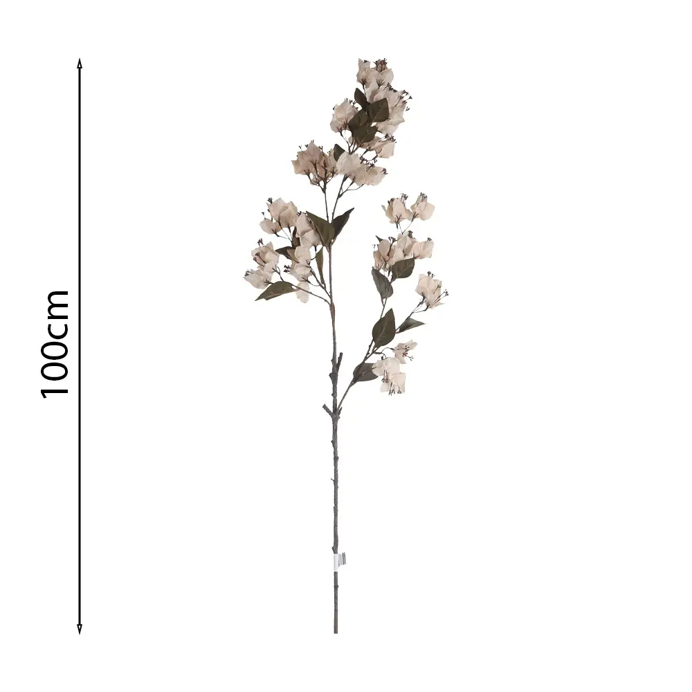 Vara de Buganvilla Colgante 100cm .2