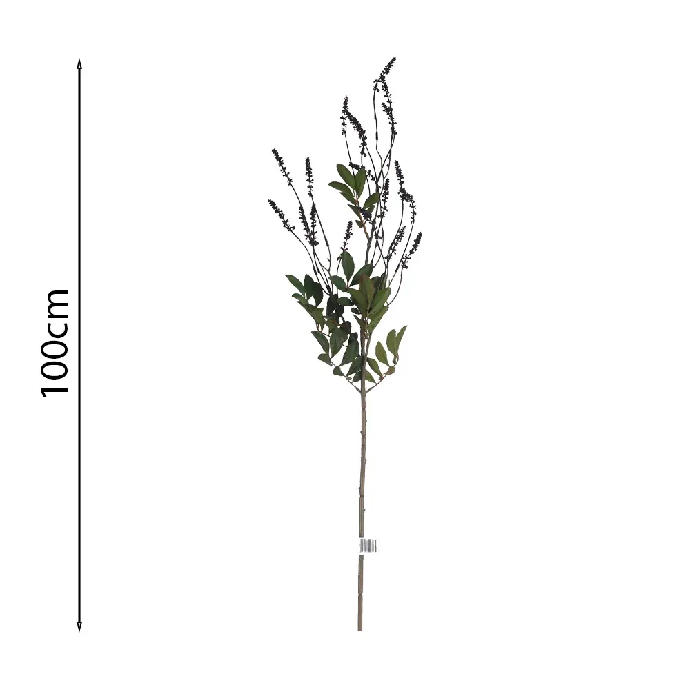 Vara de Acacia Silvestre 100cm .2