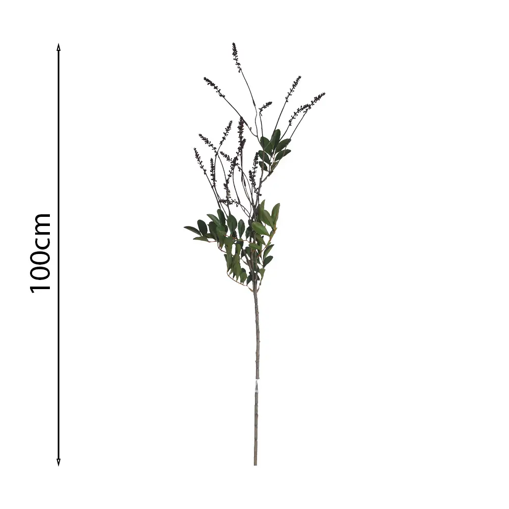 Vara de Acacia Silvestre 100cm .3