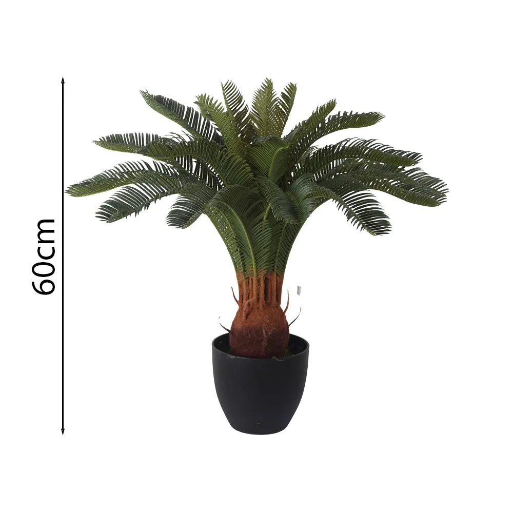CYCA CON MACETA 60CM