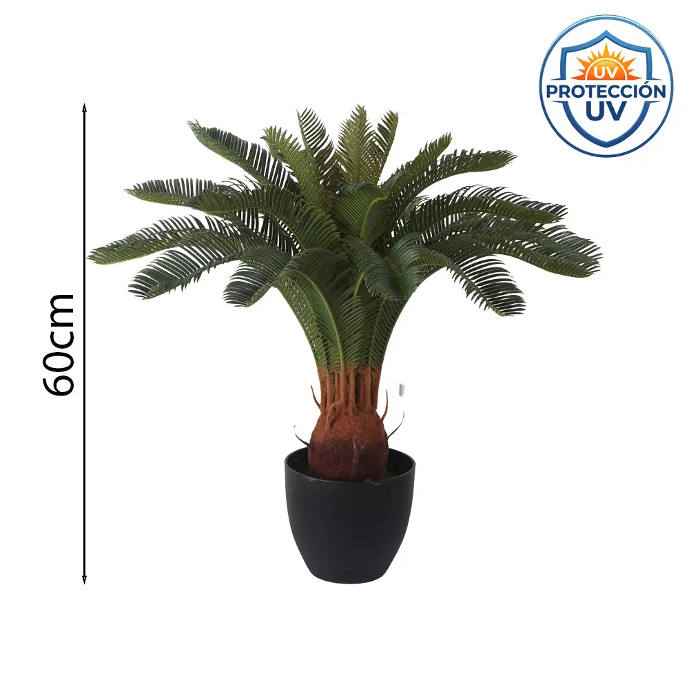 CYCA CON MACETA 60CM
