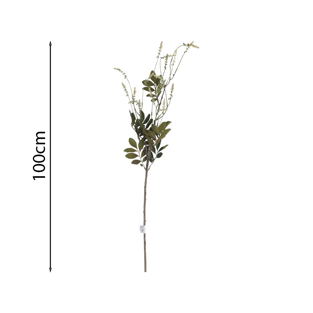 Vara de Acacia Silvestre 100cm