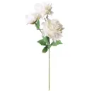 VARA 3*PEONIA