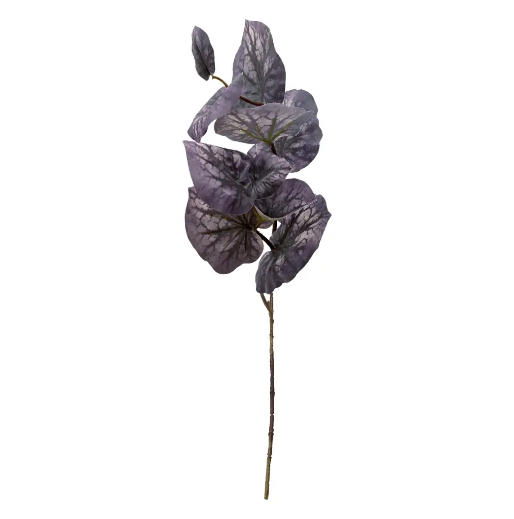 VARA HOJA DE LOTO 70CM
