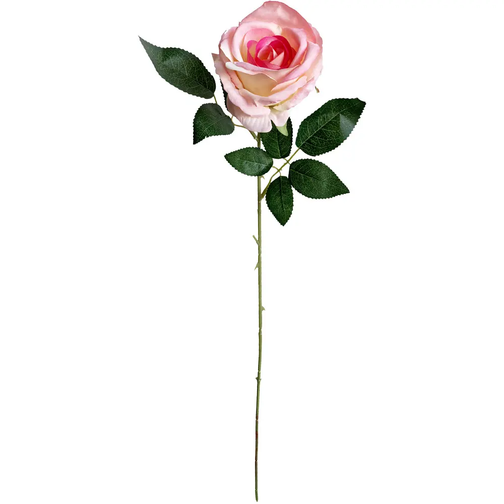 VARA ROSA
