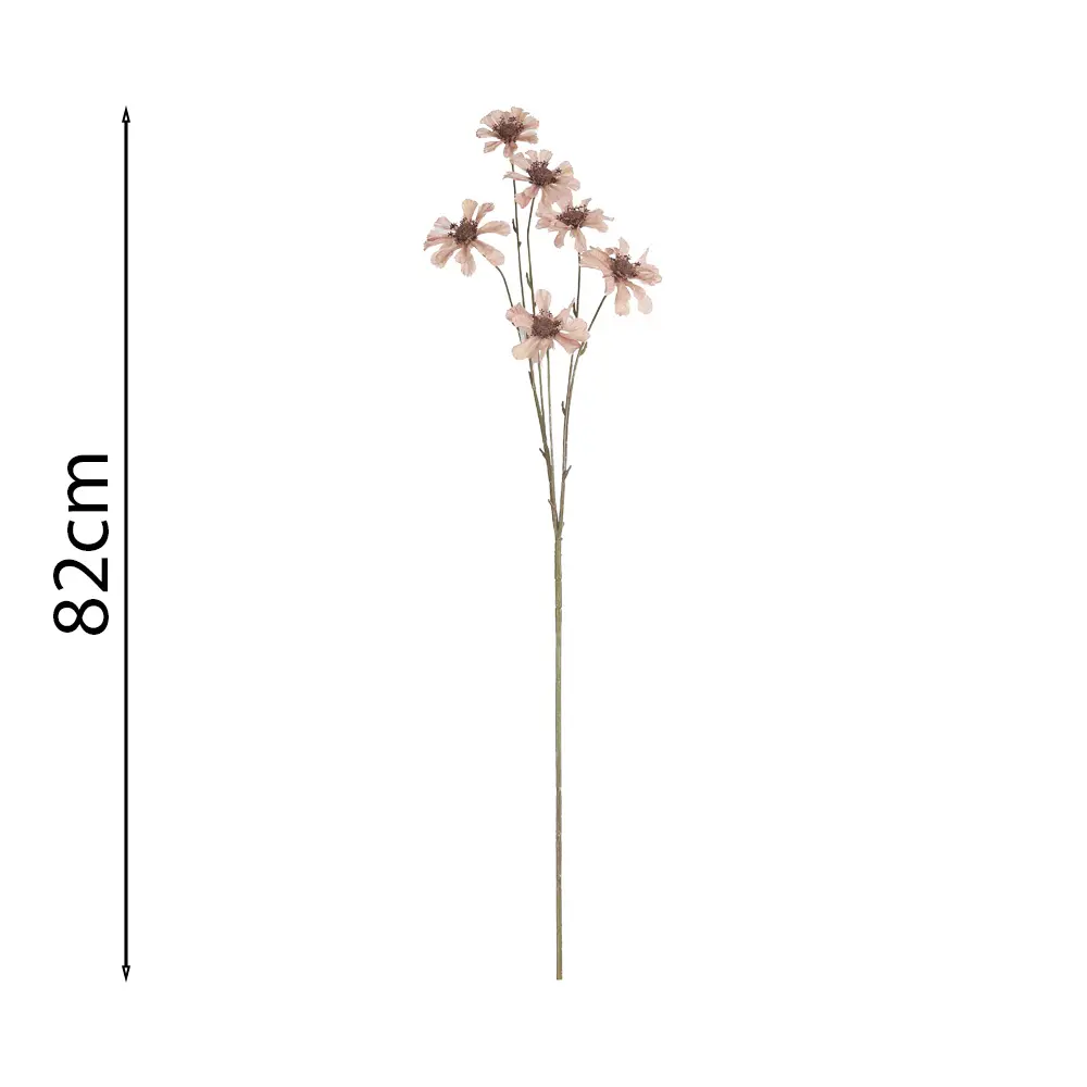 Vara de 