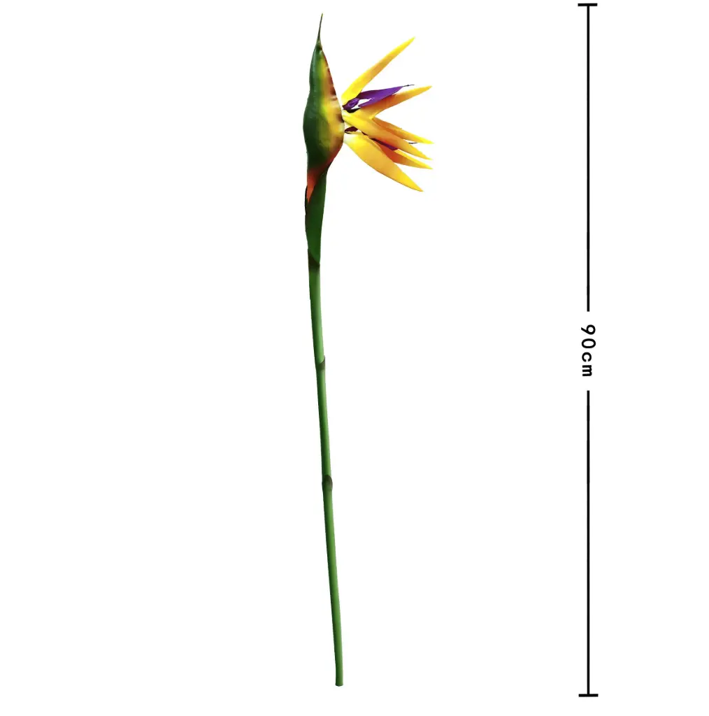 Flor Ave del Paraiso 90cm